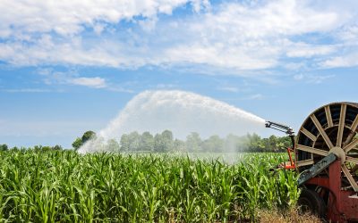 What are the agricultural impacts of sustainable water in the United States?