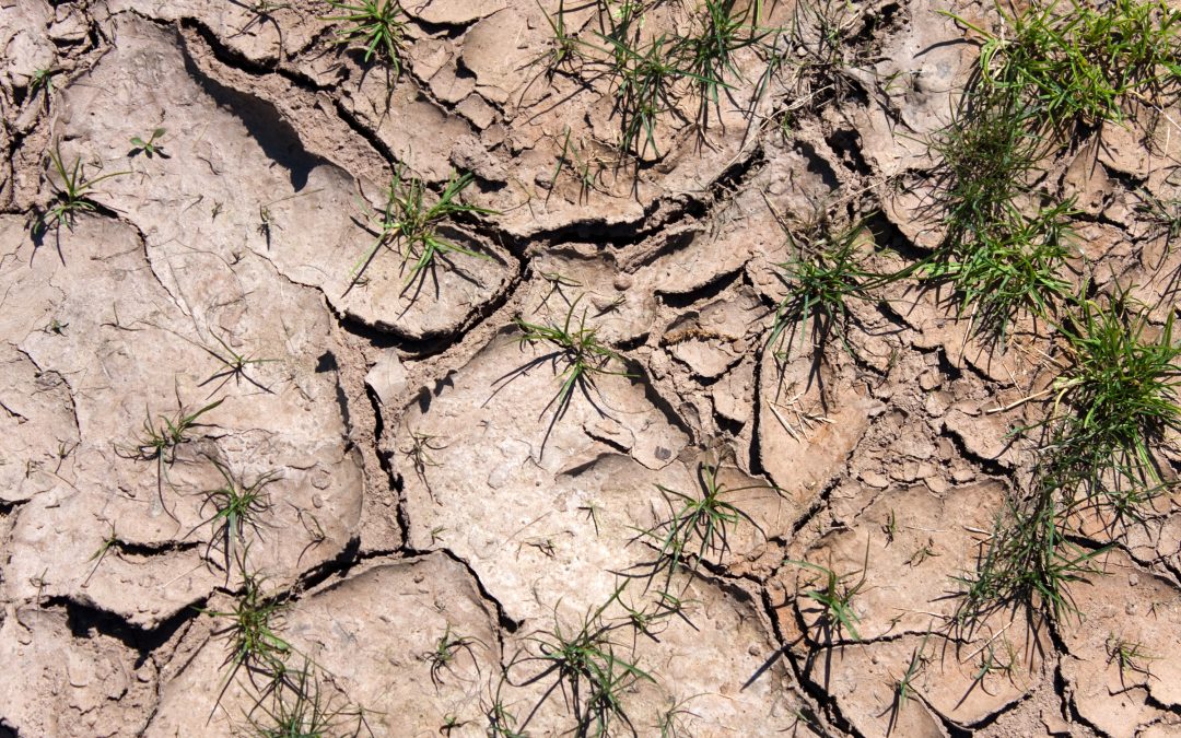 So the rain has come, what does this mean for California’s drought?