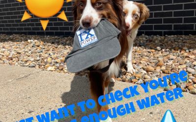 Drink Water! It’s Hot Out There! Take IX Water Pups Advice.